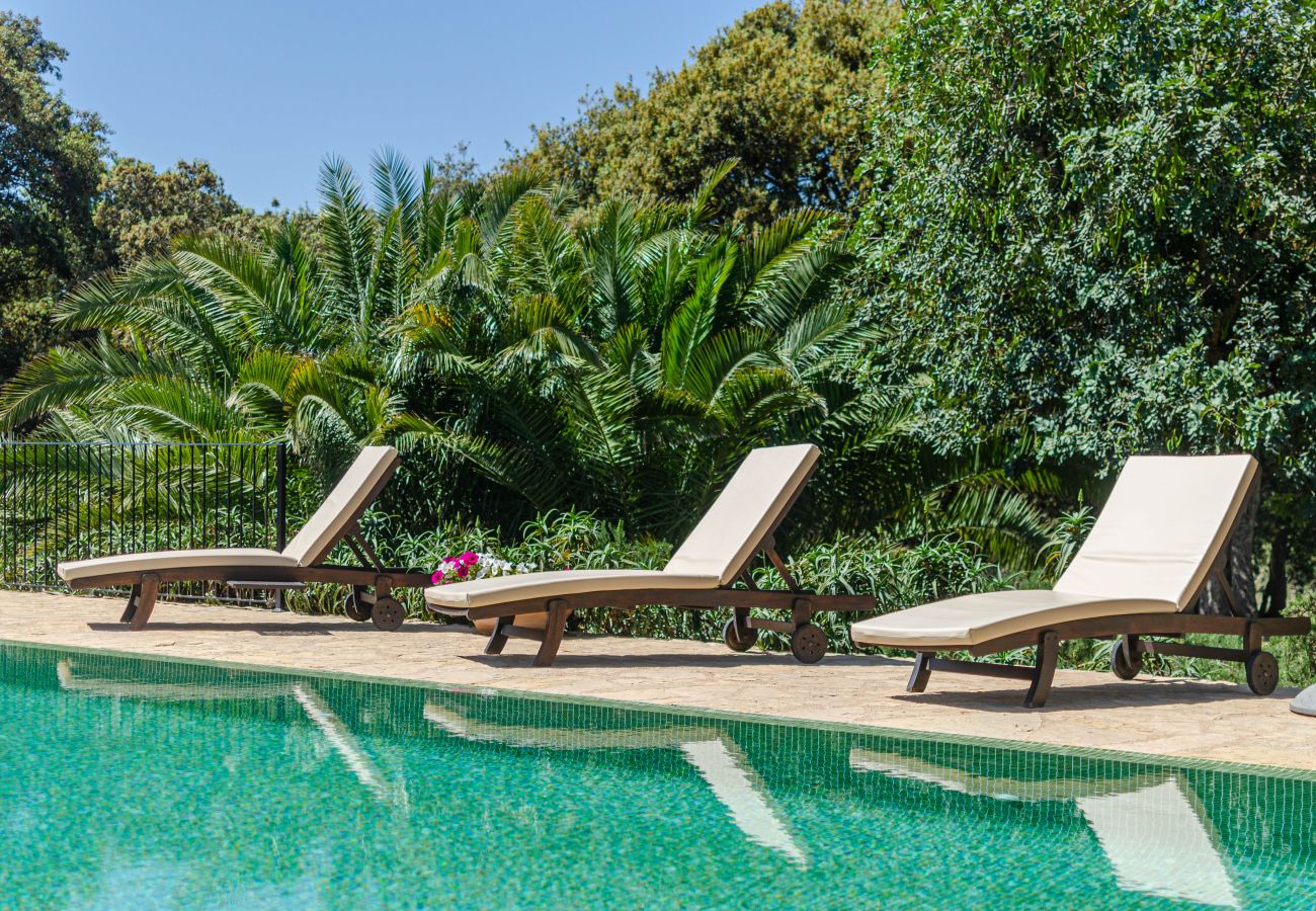Villa in Felanitx - Villa for 8 guests with pool and barbecue, YourHouse Son Punta