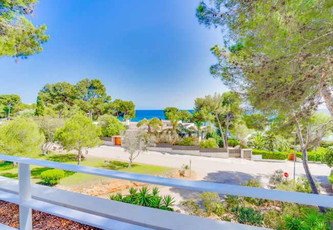 Apartment in Costa de los Pinos - SES ALZINES APARTMENT SEA VIEW MALLORCA  Apartment in Costa de los Pinos - SES ALZINES APARTMENT SEA VIEW MALLORCA