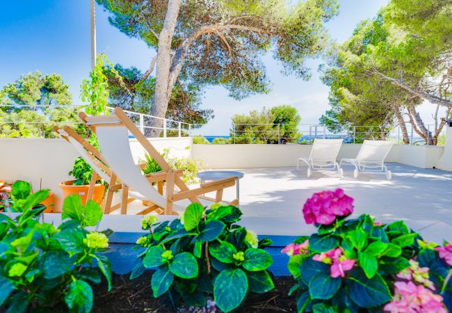 Apartment in Costa de los Pinos - SES ALZINES APARTMENT SEA VIEW MALLORCA  Apartment in Costa de los Pinos - SES ALZINES APARTMENT SEA VIEW MALLORCA