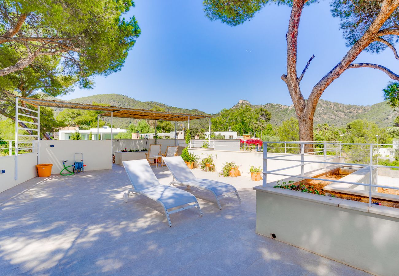 Apartment in Costa de los Pinos - SES ALZINES APARTMENT SEA VIEW MALLORCA 