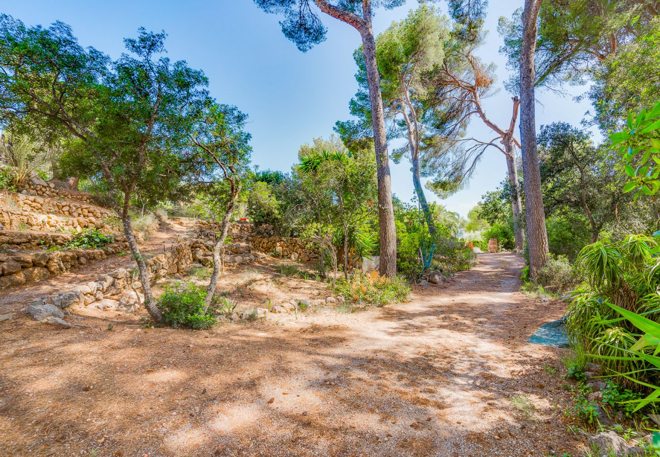 Apartment in Costa de los Pinos - SES ALZINES APARTMENT SEA VIEW MALLORCA 