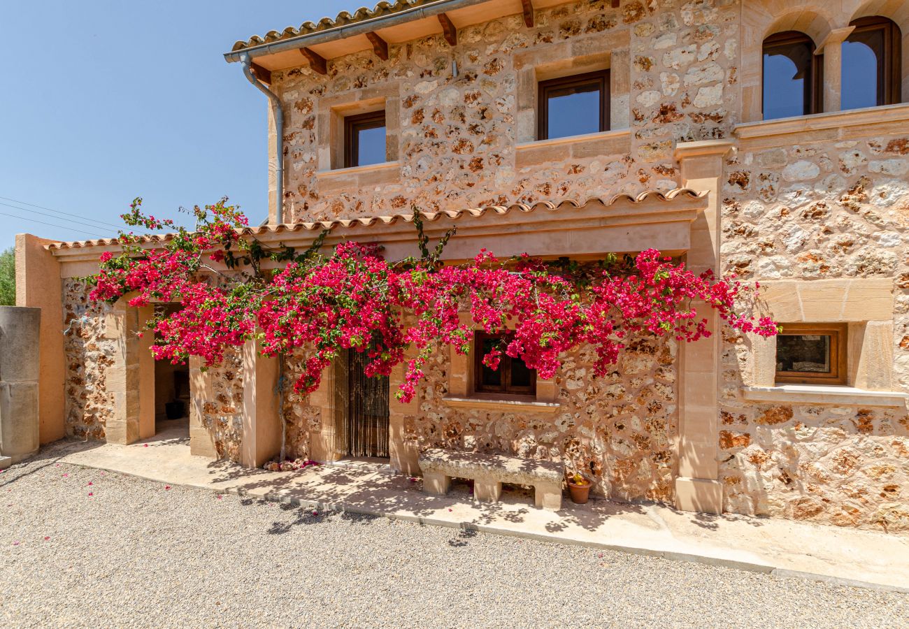 Villa in Muro - YourHouse Can Covetes, villa with private pool in Mallorca North