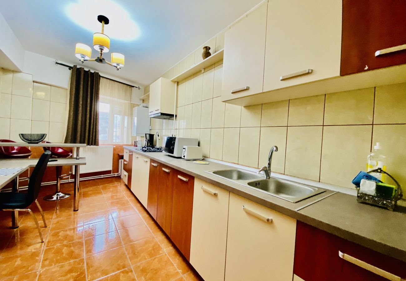 Studio in Târgoviște - Central Double Studio in Targoviste