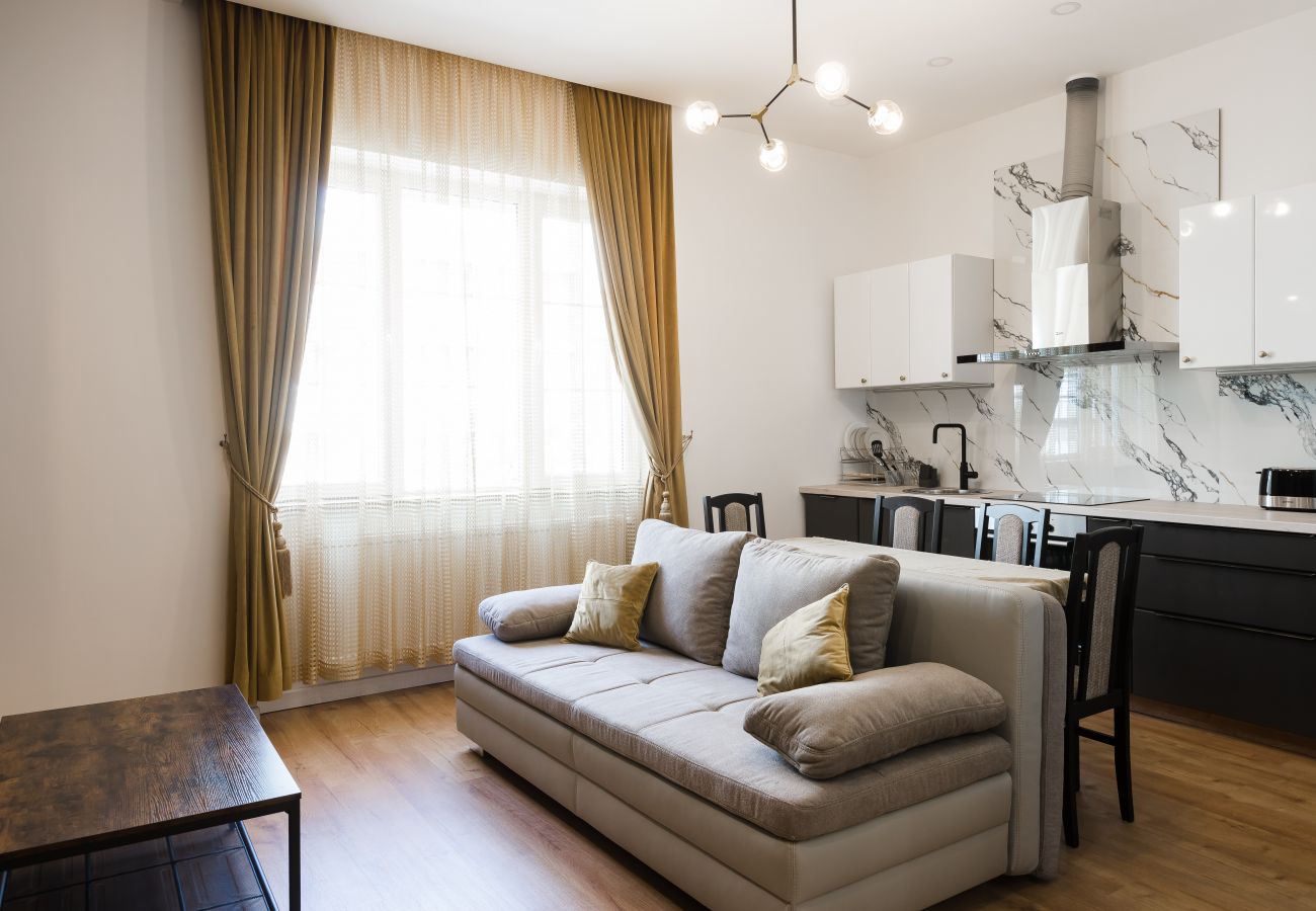Apartment in Timisoara - Vladu Apartment
