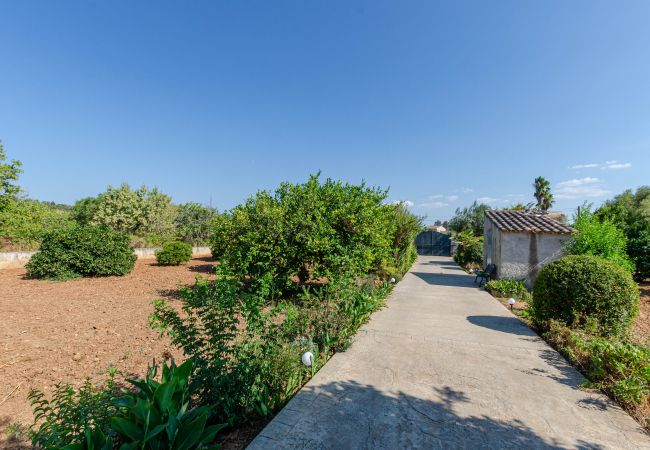 Villa in Buger - YourHouse Son Serra, villa with private pool in Buger, Majorca North Villa in Buger - YourHouse Son Serra, villa with private pool in Buger, Majorca North