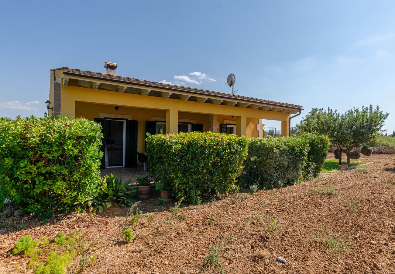 Villa in Buger - YourHouse Son Serra, villa with private pool in Buger, Majorca North
