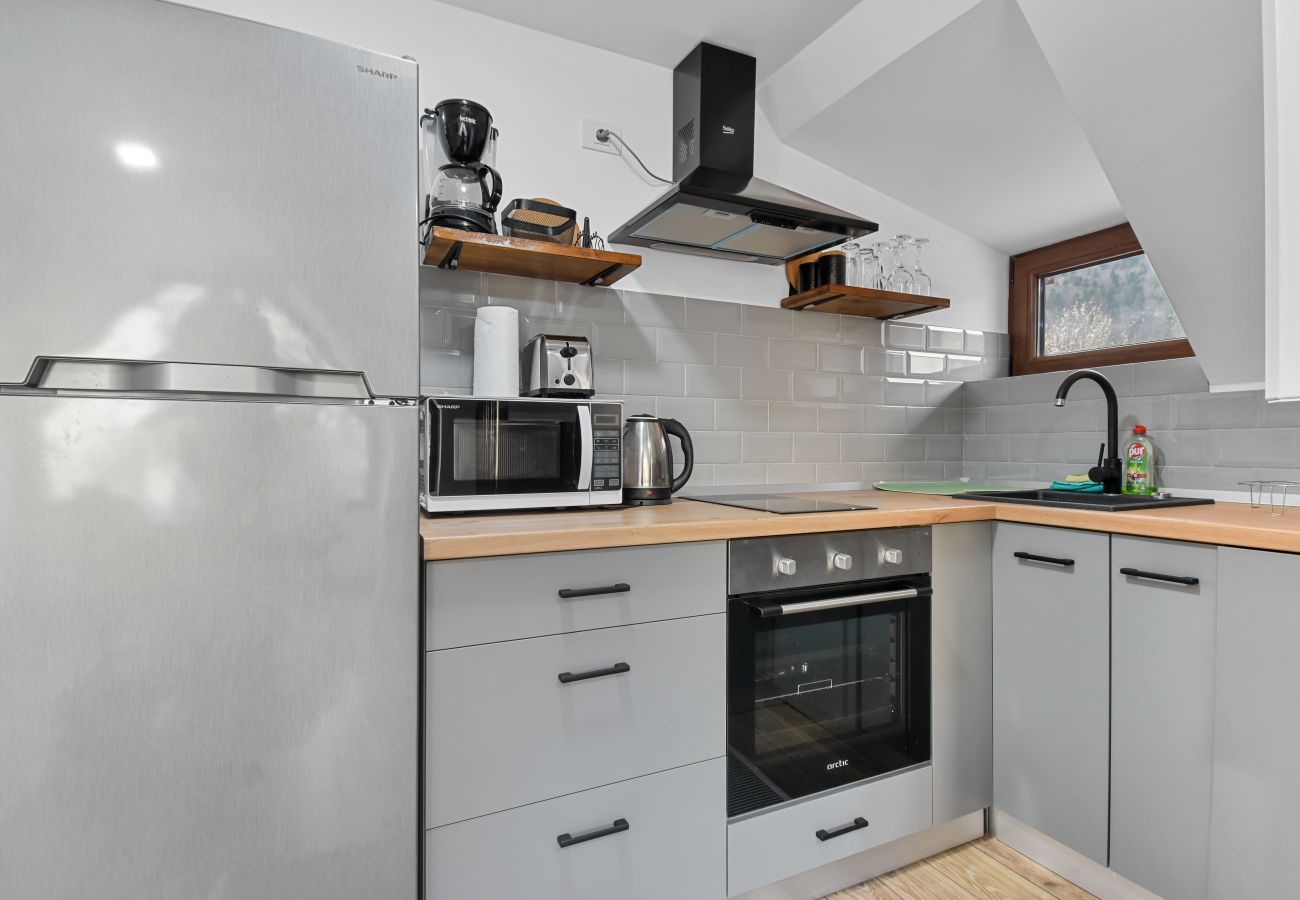 Apartment in Sinaia - Hytta Apartment with 2 Bedrooms