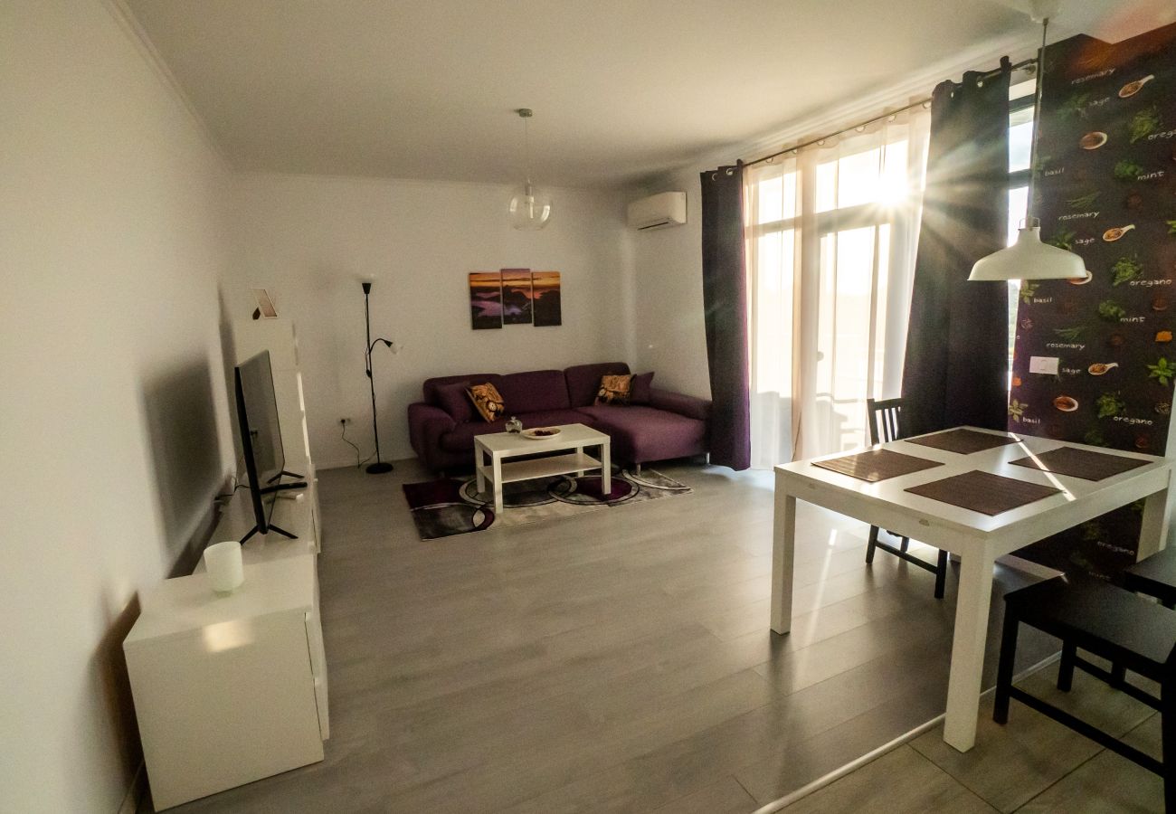 Apartment in Timisoara - Rozelor Two Bedroom Apartment in Giroc