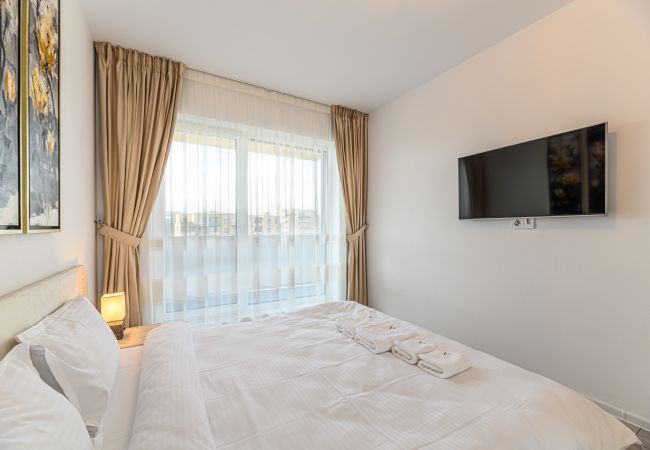 Apartment in Brasov - Dynamic  Apartment Apartment in Brasov - Dynamic  Apartment