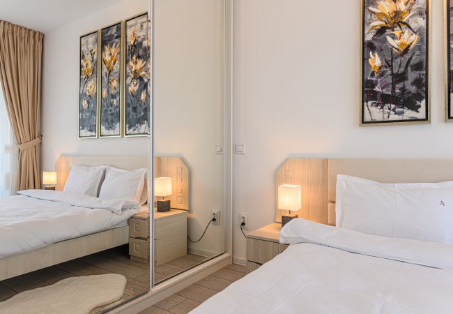 Apartment in Brasov - Dynamic  Apartment Apartment in Brasov - Dynamic  Apartment