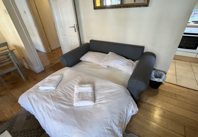 Apartment in Dublin - Clanbrassil Street Lower