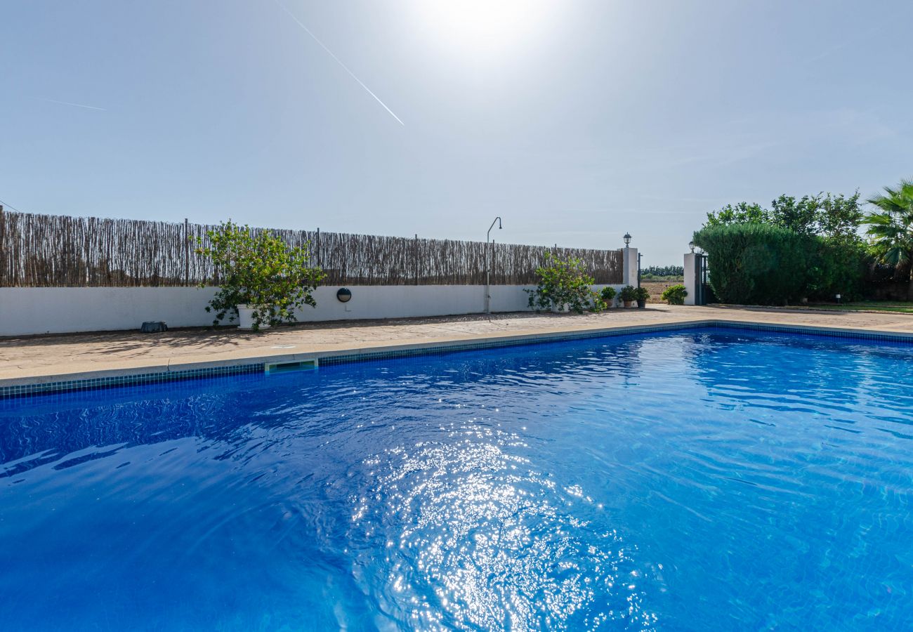 Villa in Sa Pobla - YourHouse Goet, spacious villa with private pool