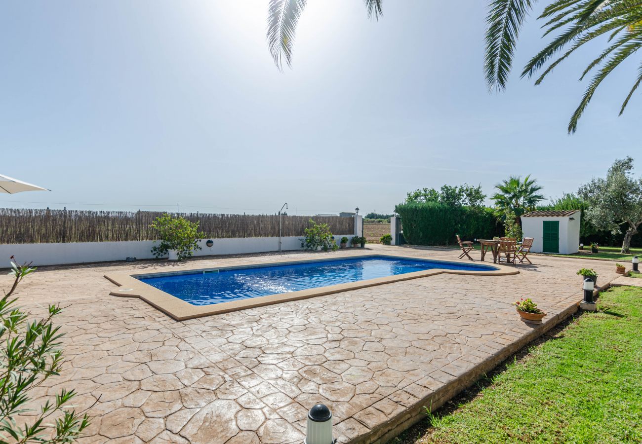 Villa in Sa Pobla - YourHouse Goet, spacious villa with private pool