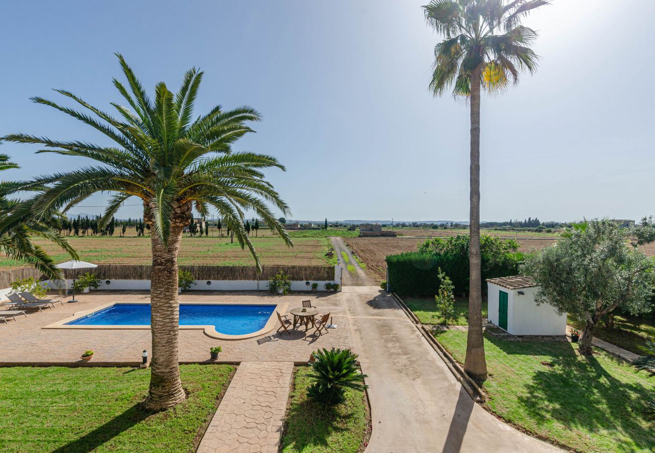 Villa in Sa Pobla - YourHouse Goet, spacious villa with private pool
