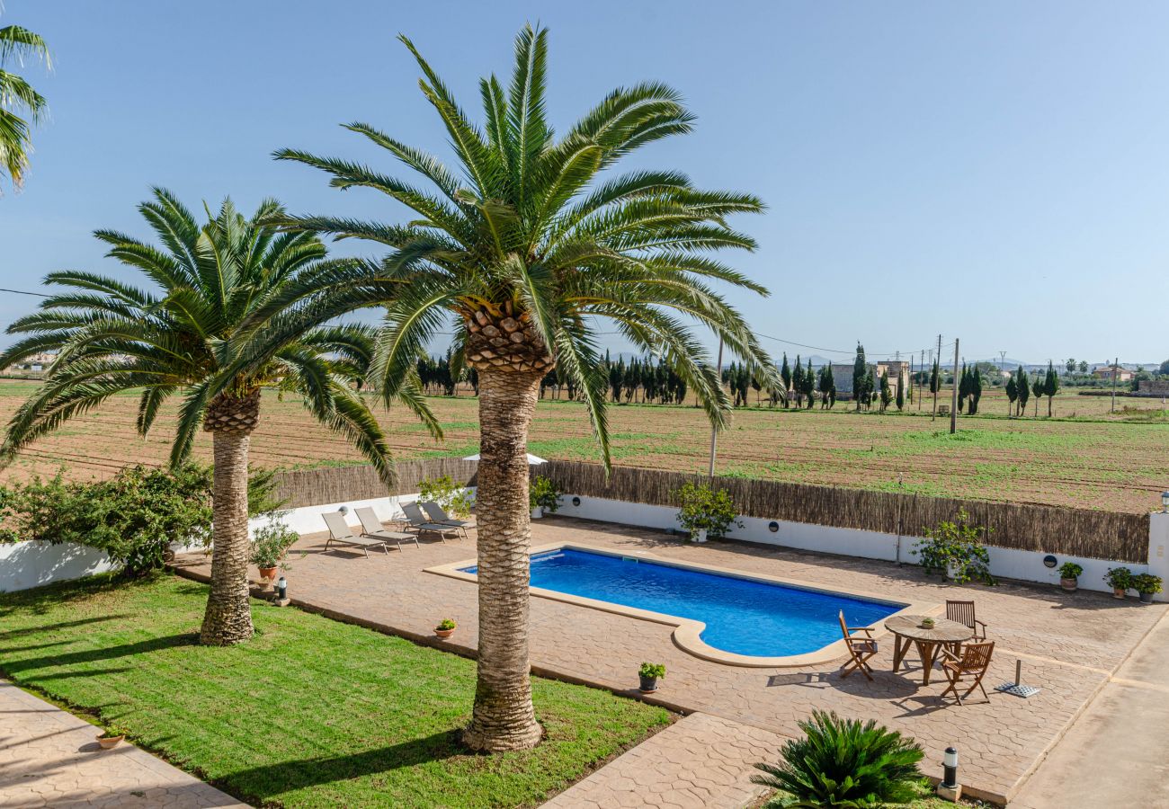 Villa in Sa Pobla - YourHouse Goet, spacious villa with private pool