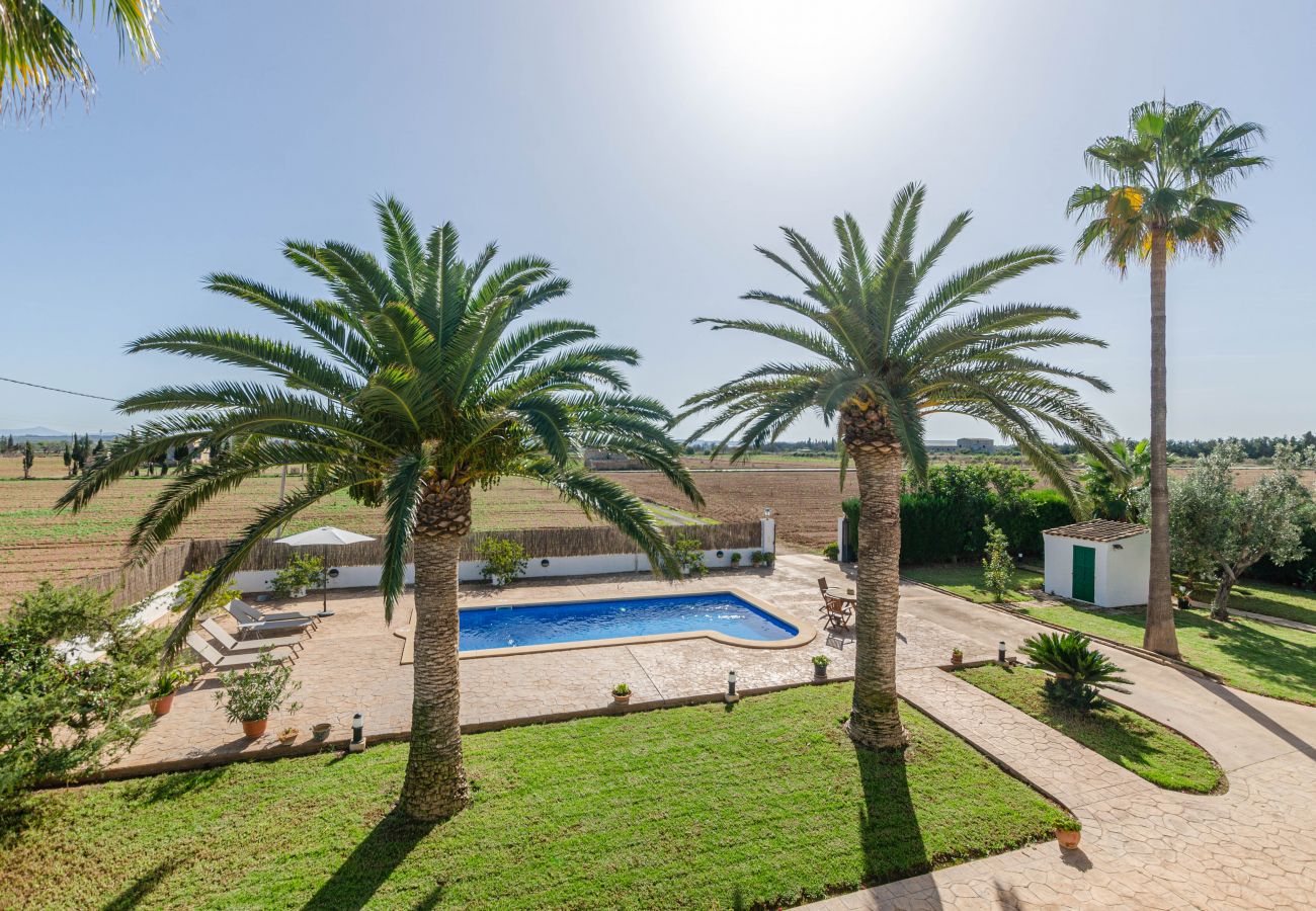 Villa in Sa Pobla - YourHouse Goet, spacious villa with private pool