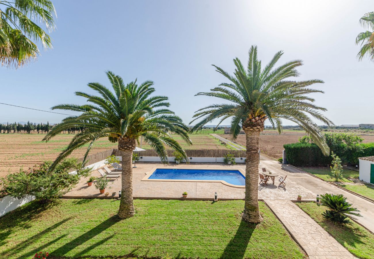 Villa in Sa Pobla - YourHouse Goet, spacious villa with private pool