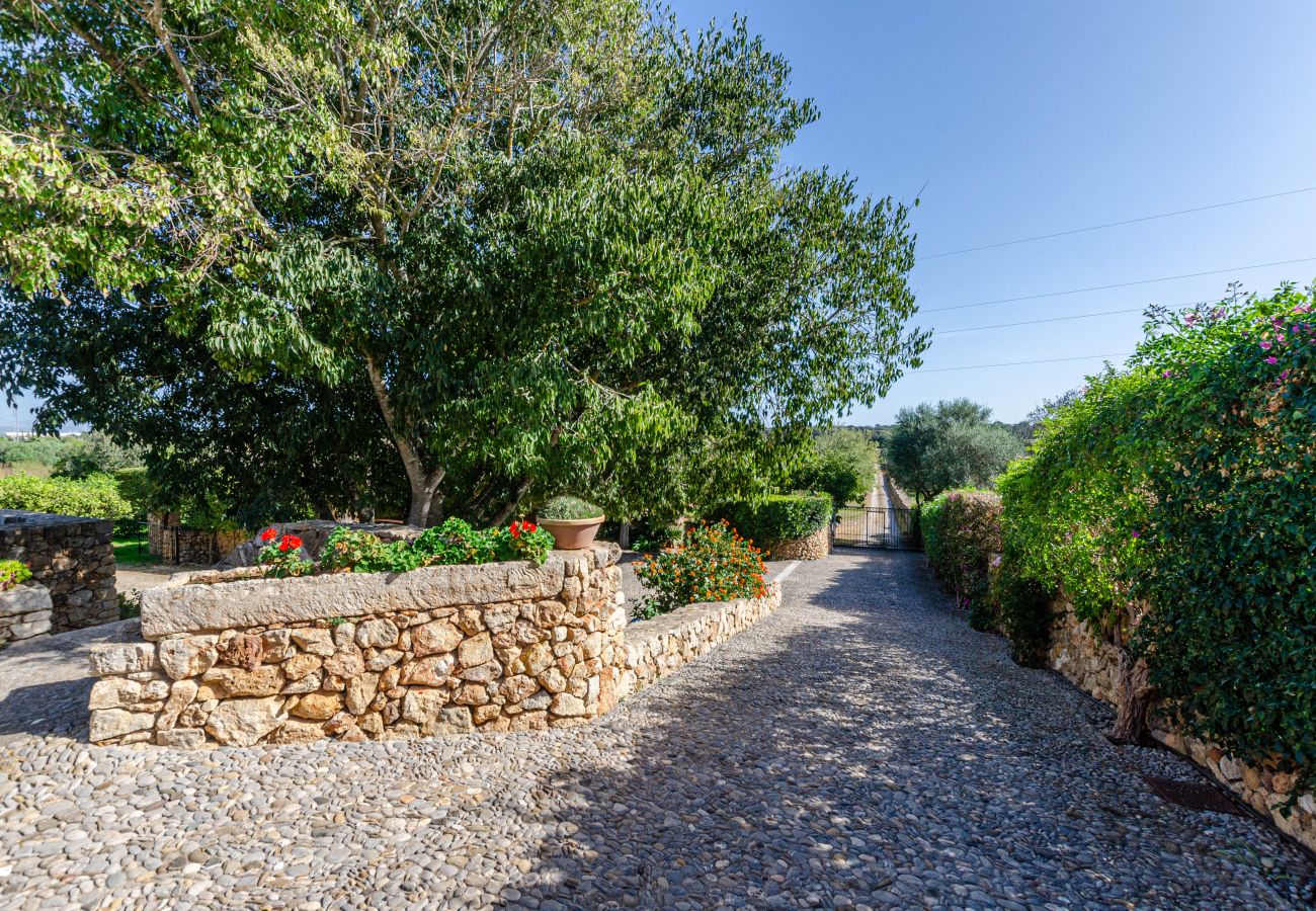 Villa in Campanet - Quiet villa with private pool and barbecue area, YourHouse Mata Grossa
