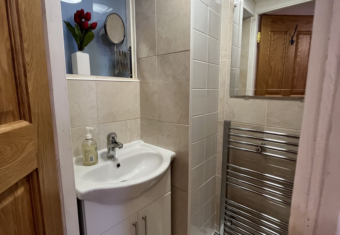 House in Dublin - Stoneybatter Edwardian Villa