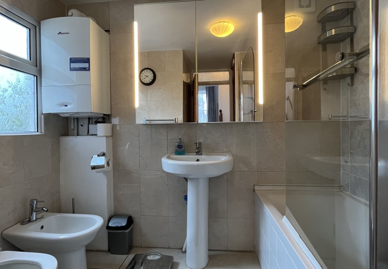 House in Dublin - Stoneybatter Edwardian Villa