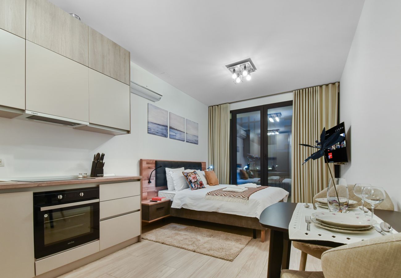 Studio in Bucharest - Elegant Studio in Win Herastrau