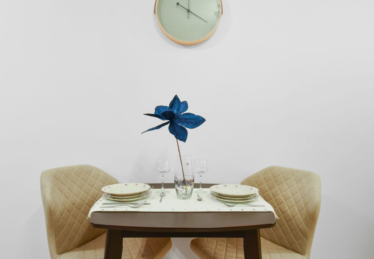 Studio in Bucharest - Elegant Studio in Win Herastrau