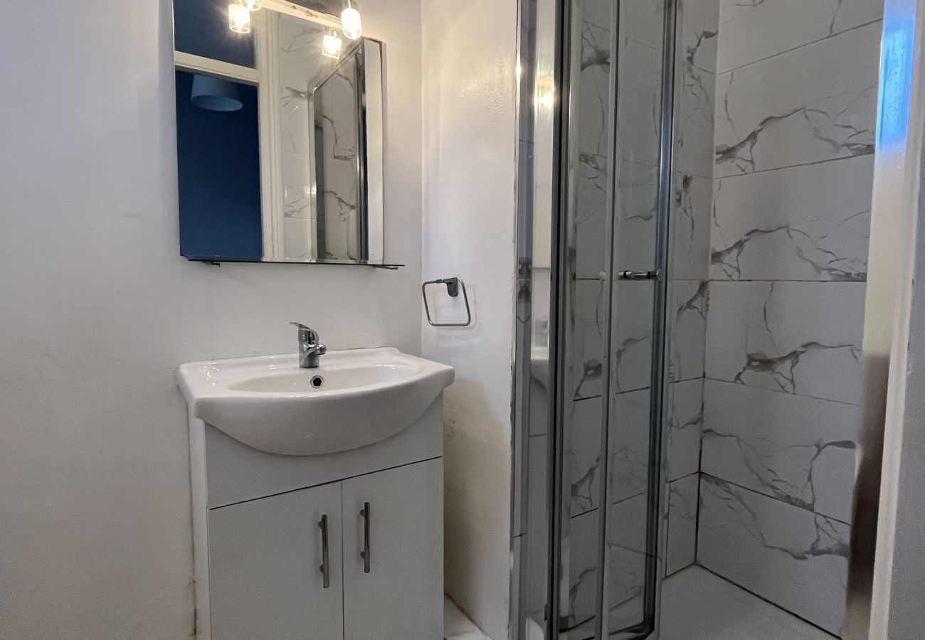 Apartment in Dublin - Leafy Leeson Street Georgian Flat
