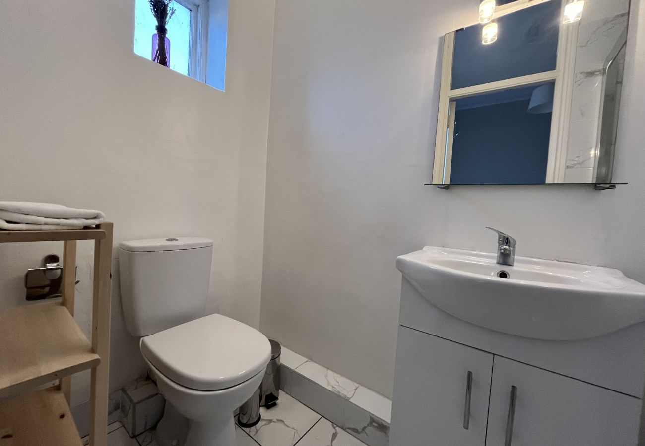 Apartment in Dublin - Leafy Leeson Street Georgian Flat