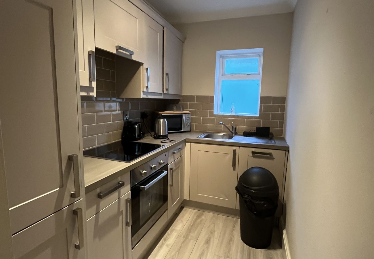 Apartment in Dublin - Leafy Leeson Street Georgian Flat