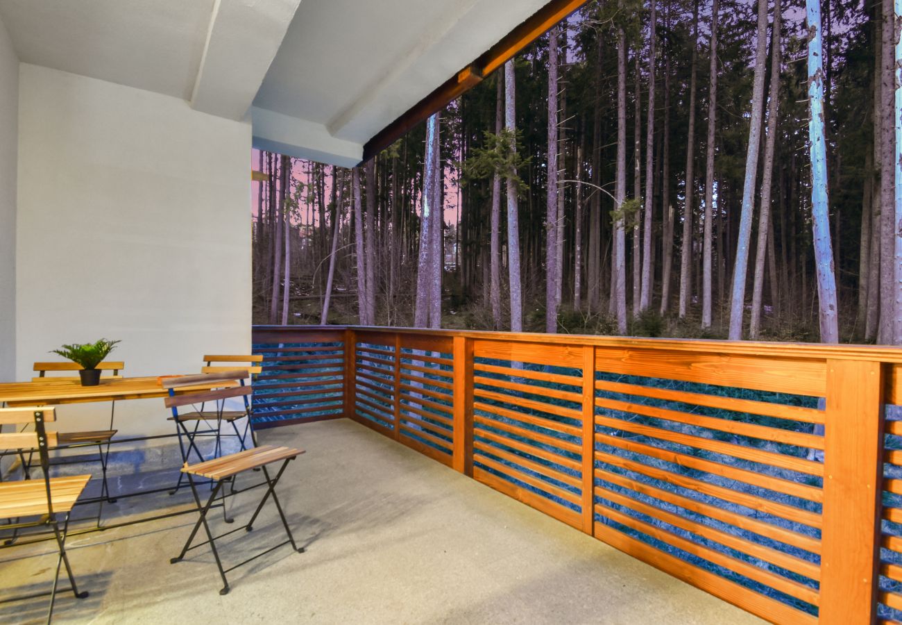 Studio in Predeal - The Flower  Clabucet Studio