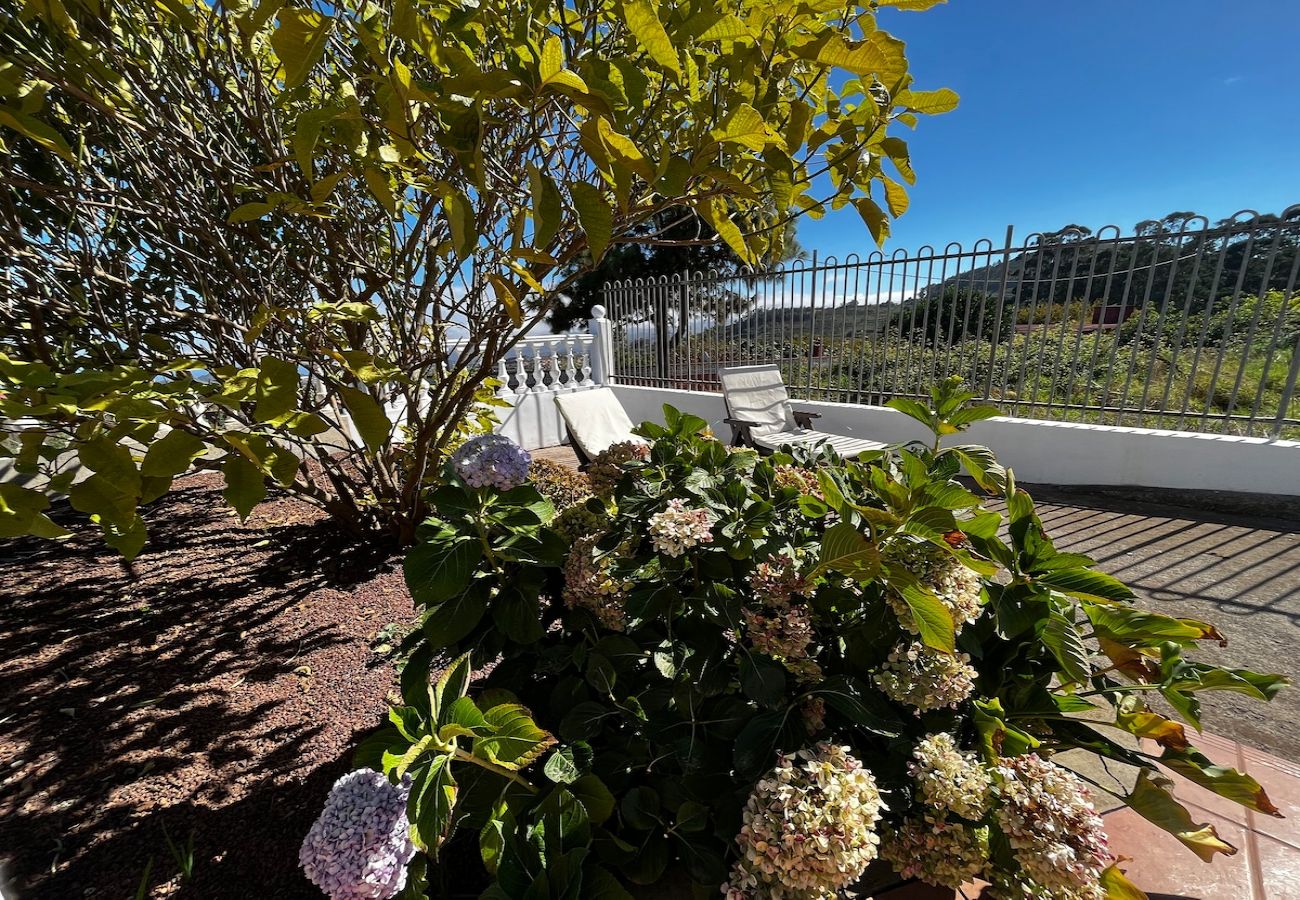 House in Tacoronte - Lightbooking Agua Garcia Tacoronte with terrace 