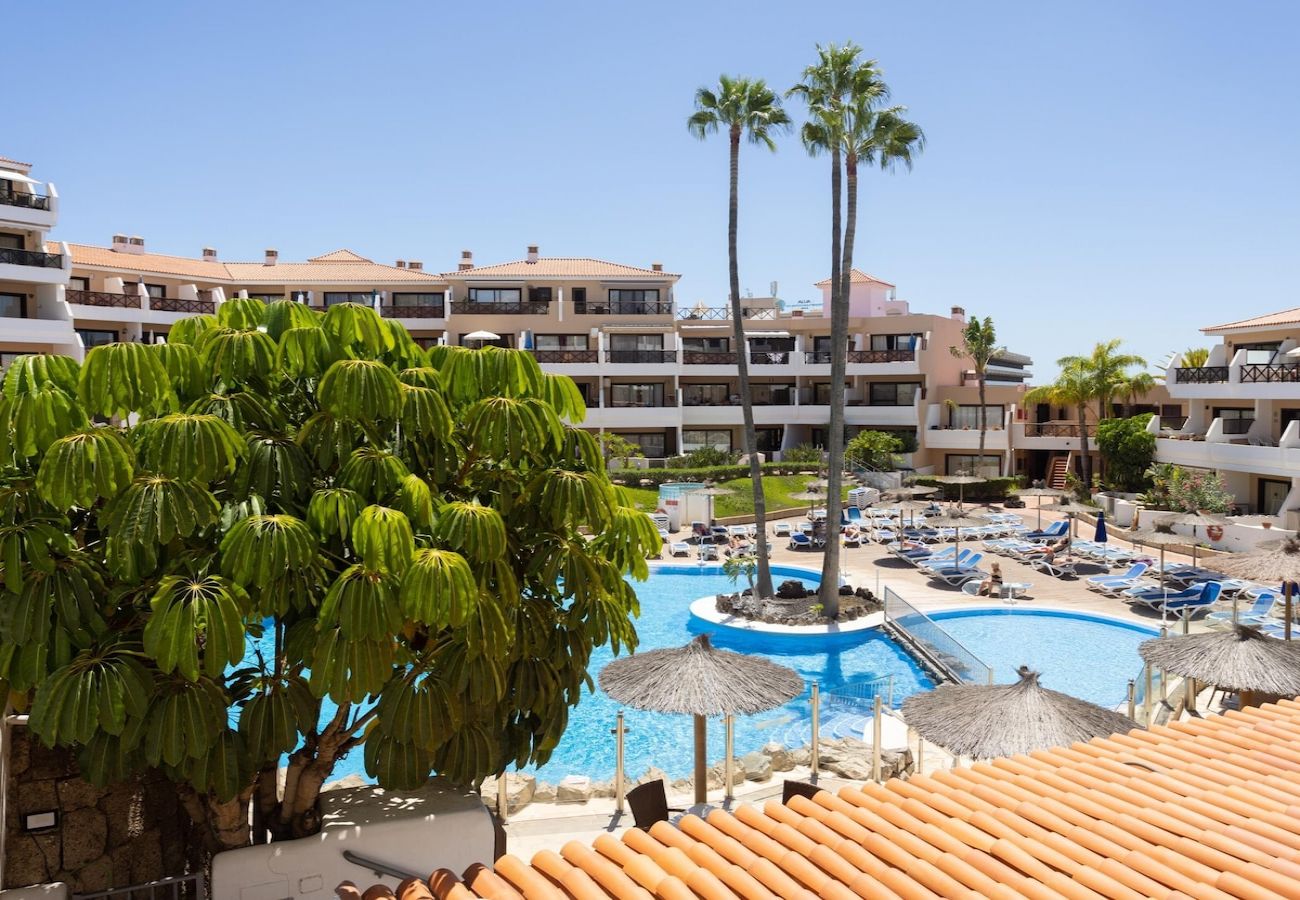 Apartment in San Miguel de Abona - Lightbooking Albatros Tenerife 