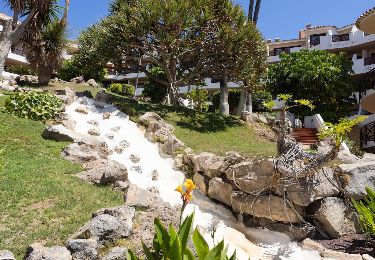 Apartment in San Miguel de Abona - Lightbooking Albatros Tenerife 