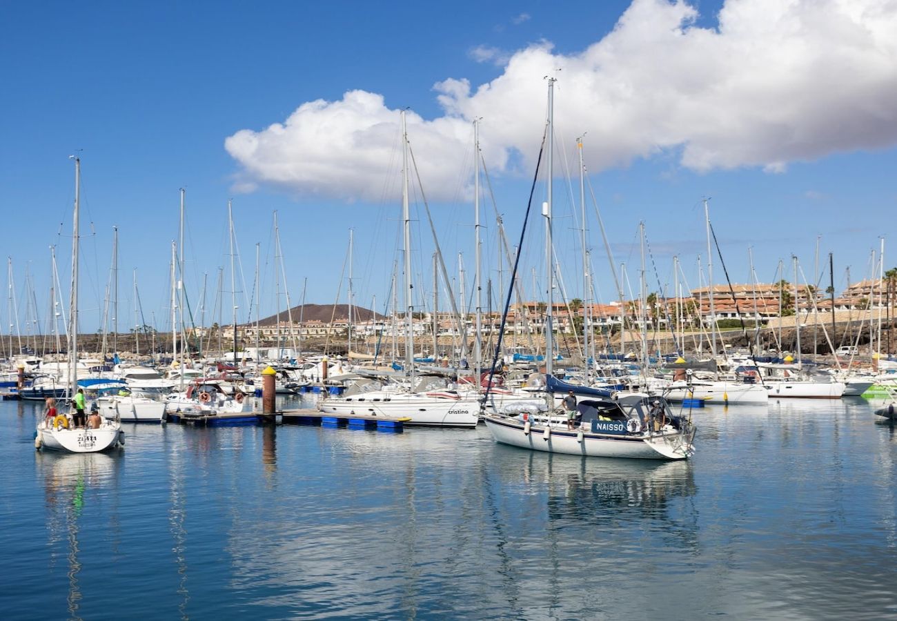 Apartment in San Miguel de Abona - Lightbooking Albatros Tenerife 