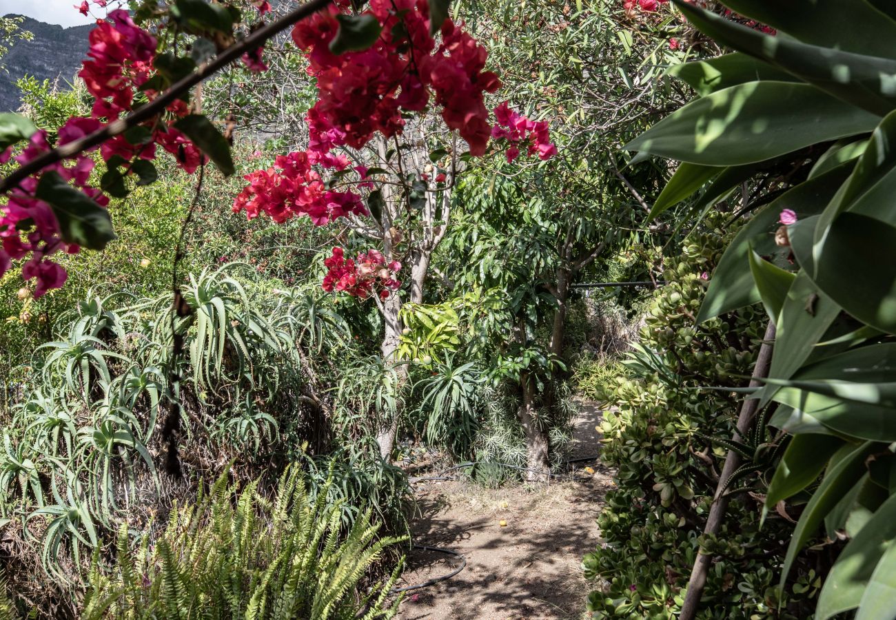Studio in Hermigua - Lightbooking Claudia Hermigua La Gomera 