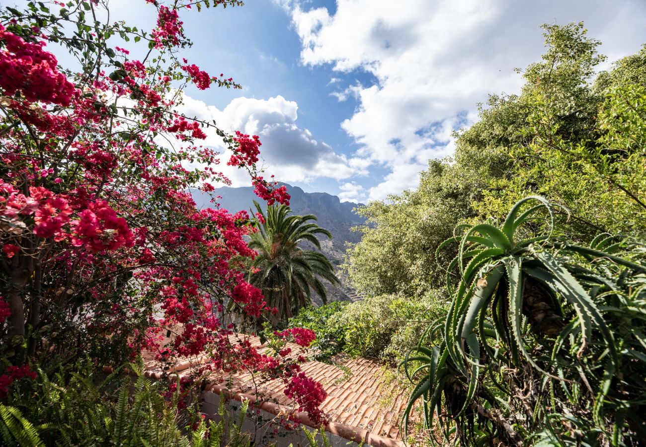 Studio in Hermigua - Lightbooking Claudia Hermigua La Gomera 