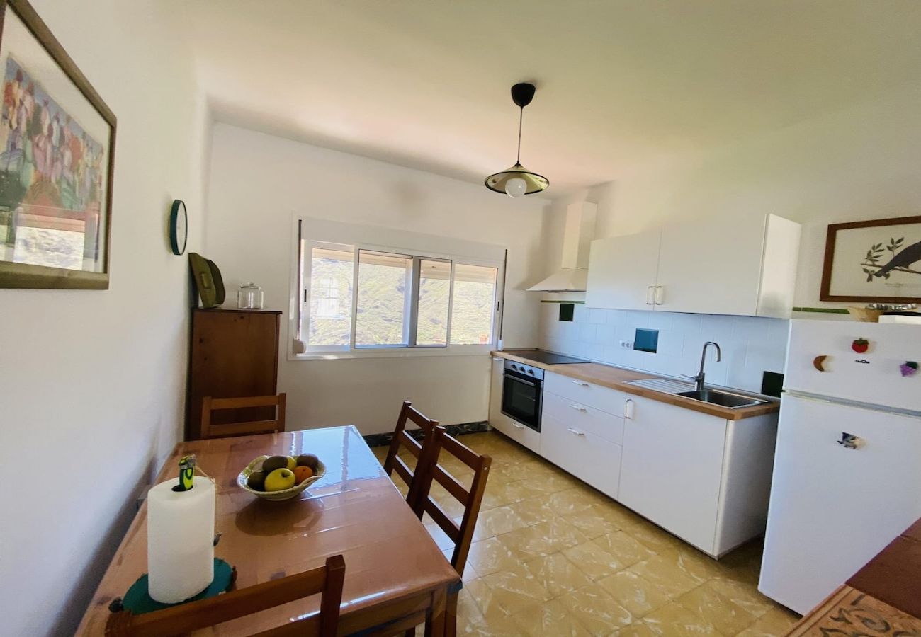House in Hermigua - Lightbooking Hermigua sea and Teide view 