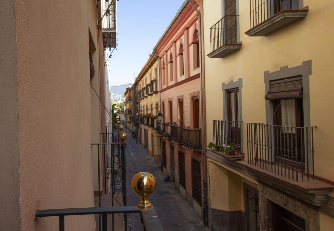 Apartment in Granada - Lightbooking El Realejo Granada 
