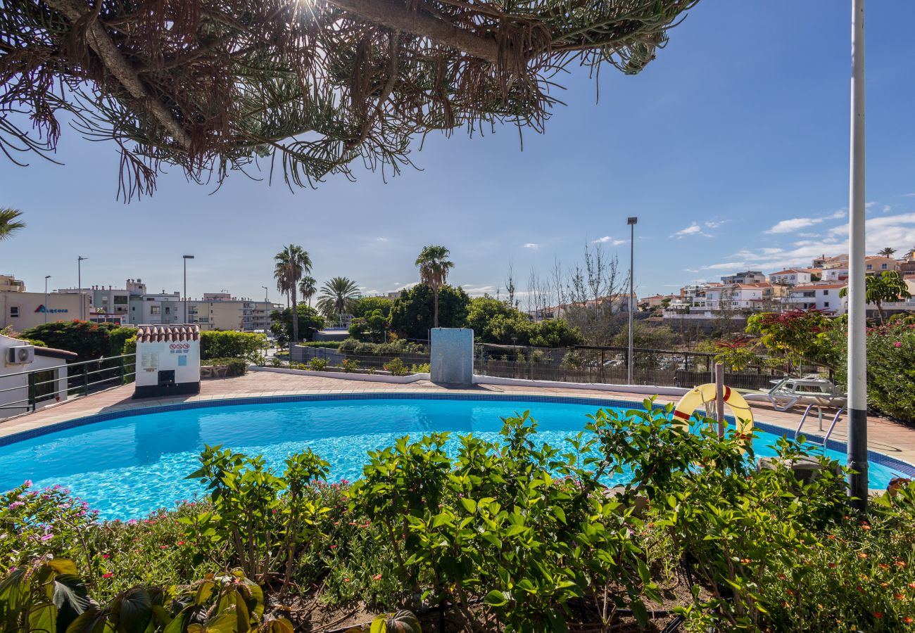 Bungalow in Mogán - Lightbooking Arguineguin Los Canarios 