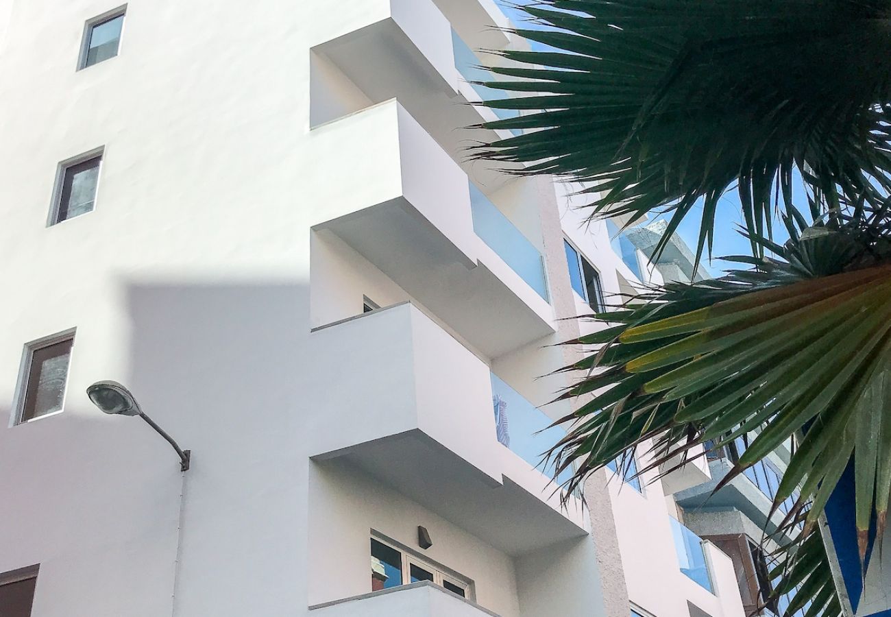 Apartment in Las Palmas de Gran Canaria - Lightbooking Canteras Beach Studio 