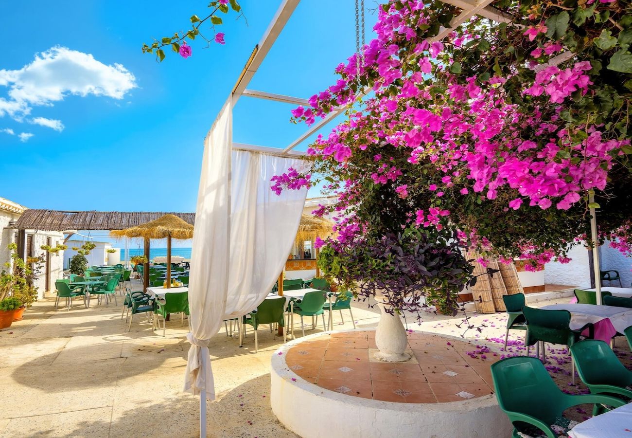 Apartment in Torremolinos - Lightbooking La Nogalera Torremolinos 