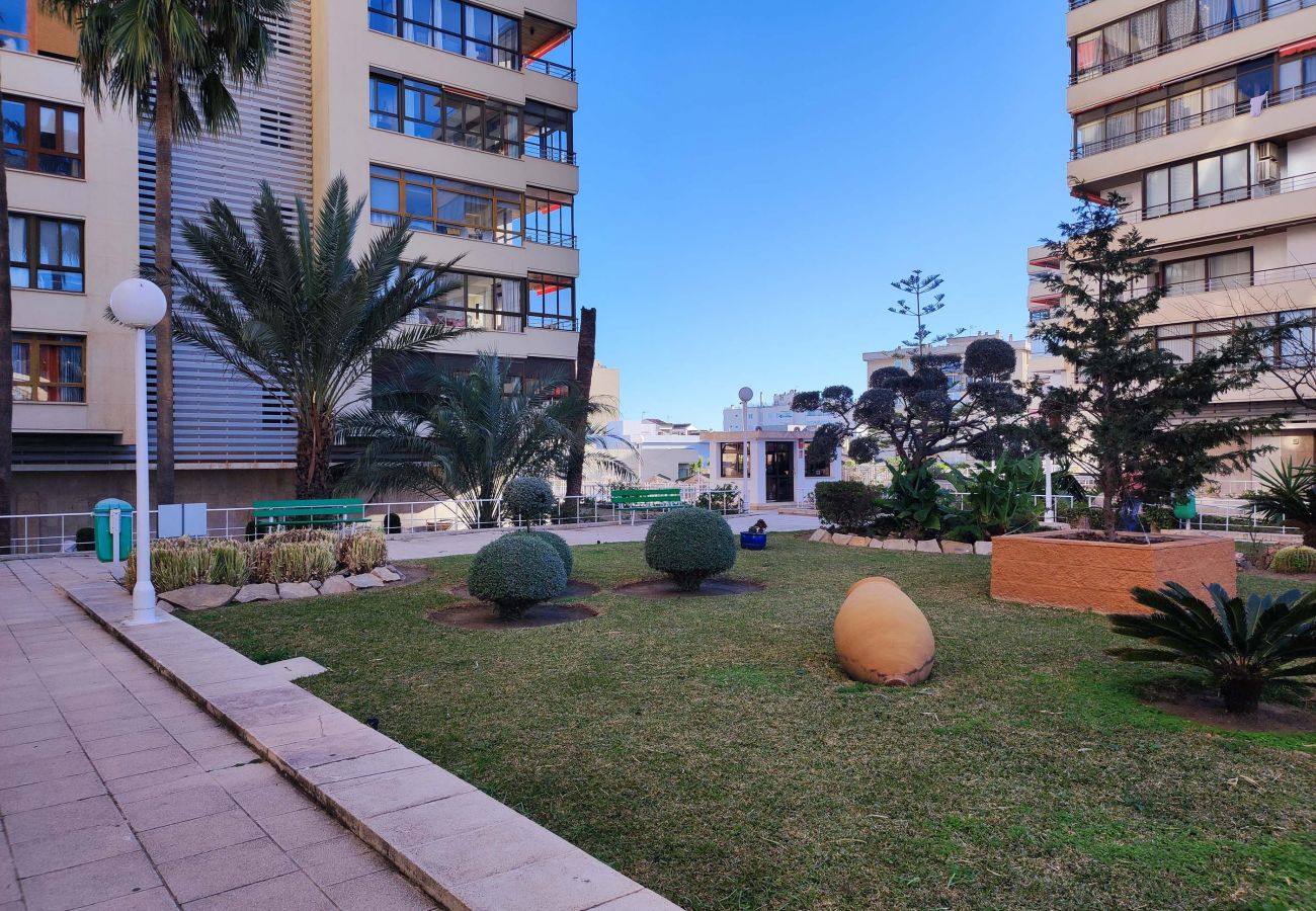 Apartment in Torremolinos - Lightbooking La Nogalera Torremolinos 
