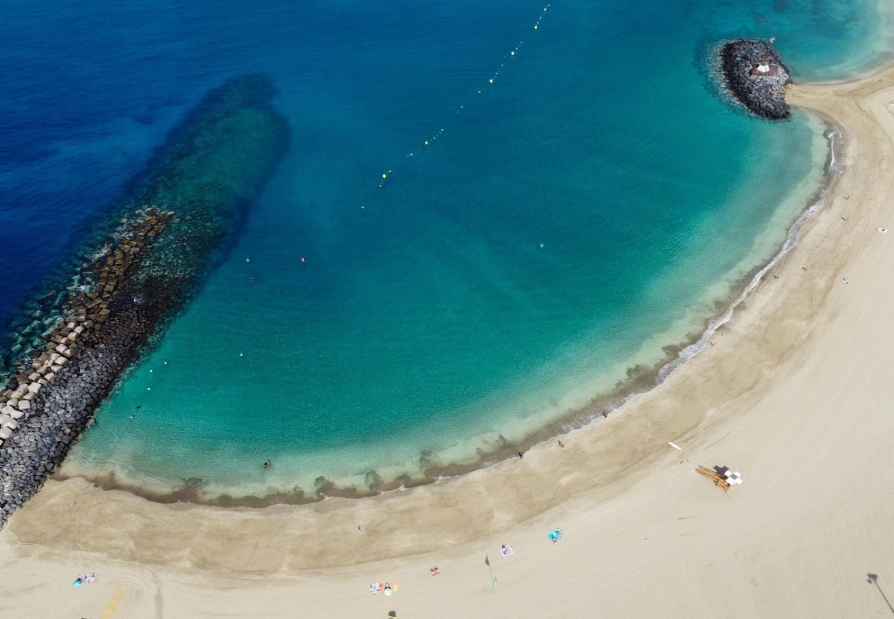 Apartment in Arona - Lightbooking Torres Del Sol Tenerife 