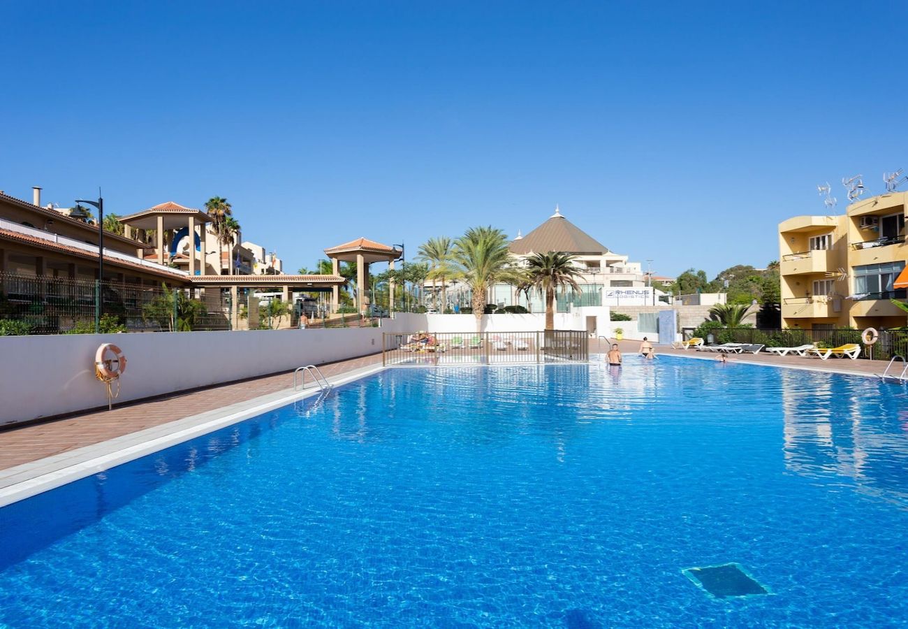 Apartment in Arona - Lightbooking Torres Del Sol Tenerife 