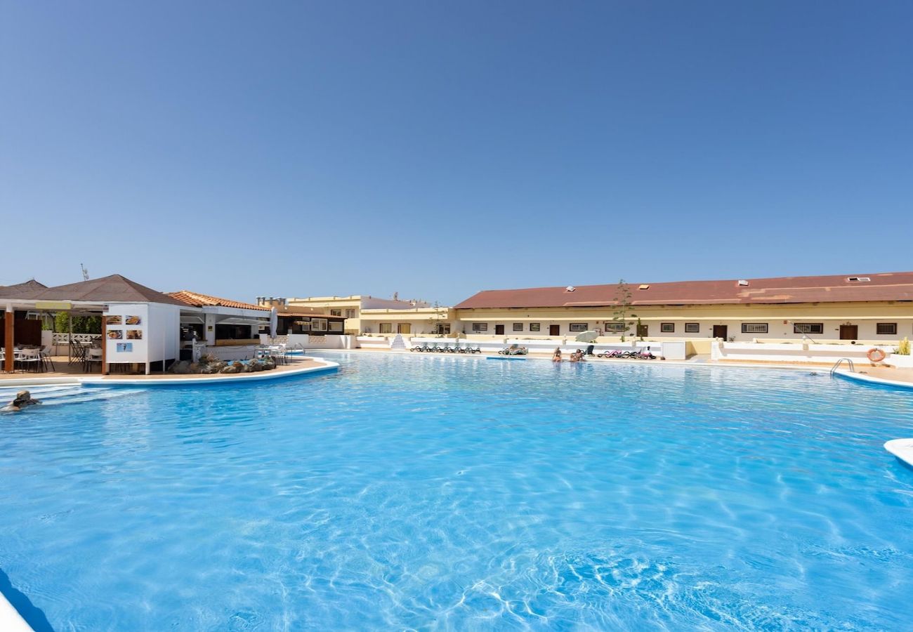 Apartment in Adeje - Lightbooking Marina Palace Tenerife 