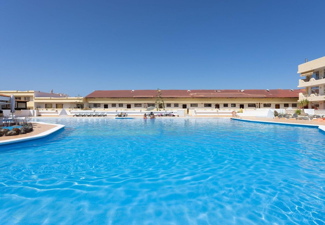 Apartment in Adeje - Lightbooking Marina Palace Tenerife 