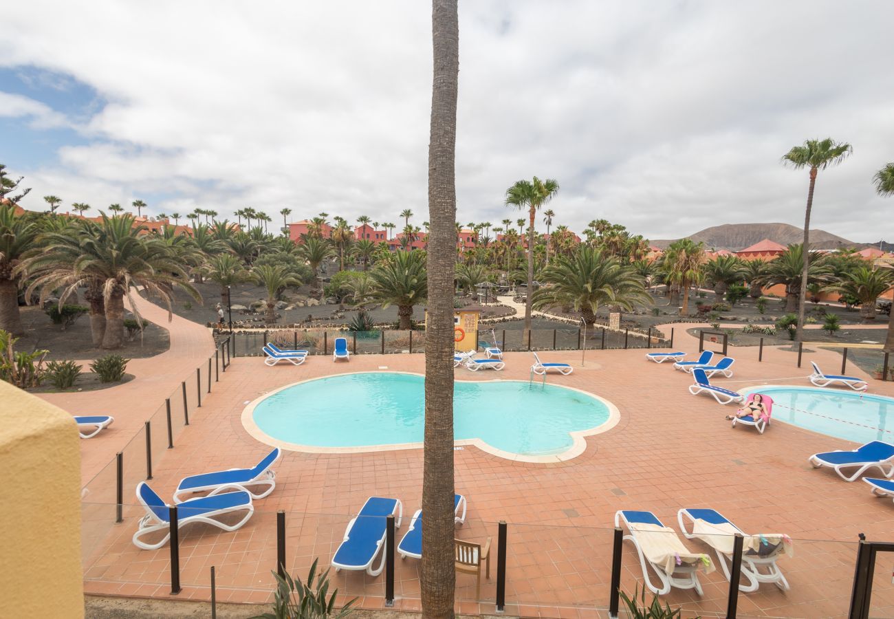 Apartment in Corralejo - Apartment Oasis Royal Corralejo F312