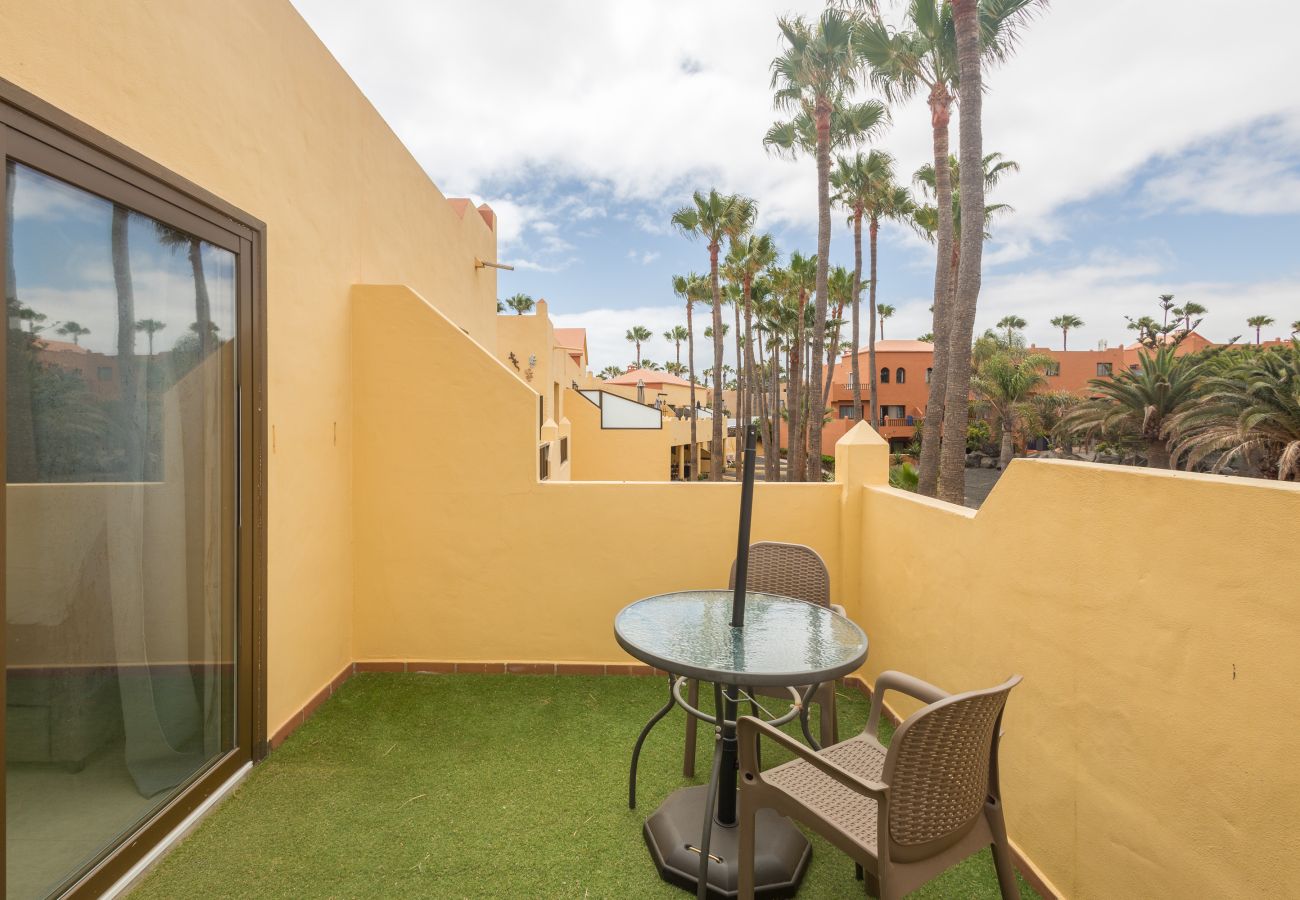Apartment in Corralejo - Apartment Oasis Royal Corralejo F312