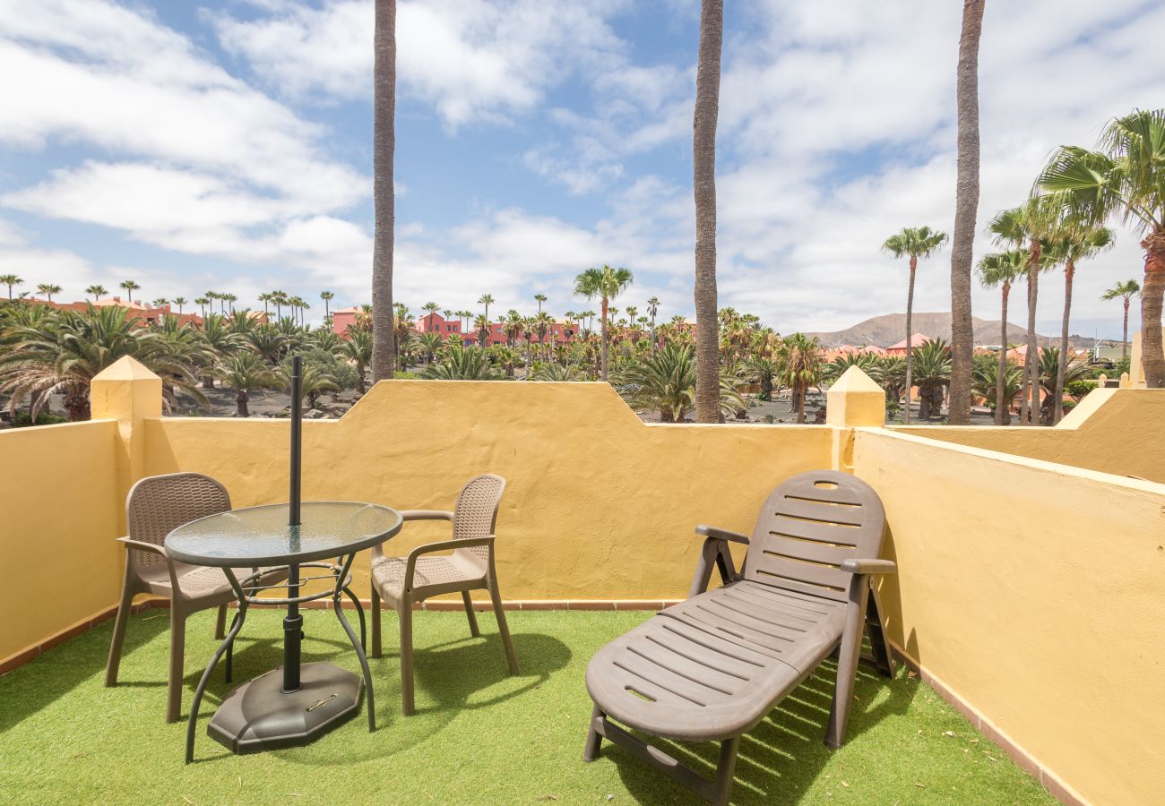 Apartment in Corralejo - Apartment Oasis Royal Corralejo F312