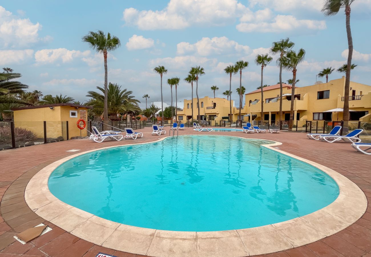 Apartment in Corralejo - Apartment Oasis Royal Corralejo F313